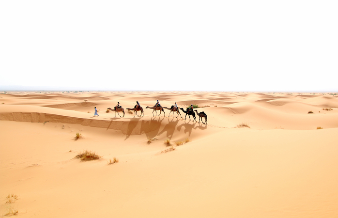 A nossa caravana de camelos no deserto.