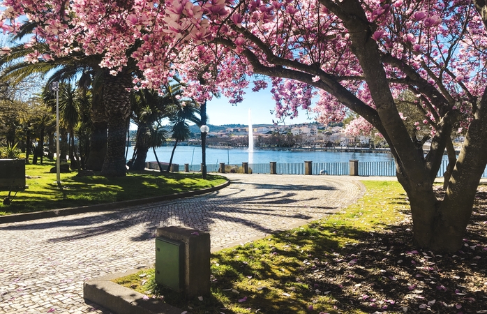 Um dia lindo e primaveril em Mirandela.