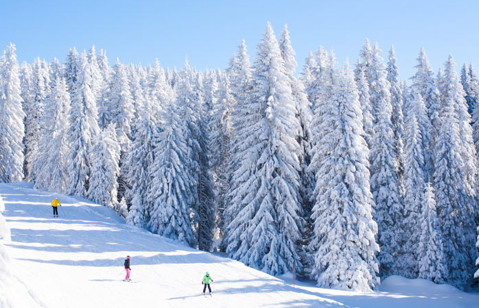 Ski low-cost em Kopaonik, Sérvia - Esquiadores em Kopaonik rodeados de pitorescas árvores cobertas de neve 