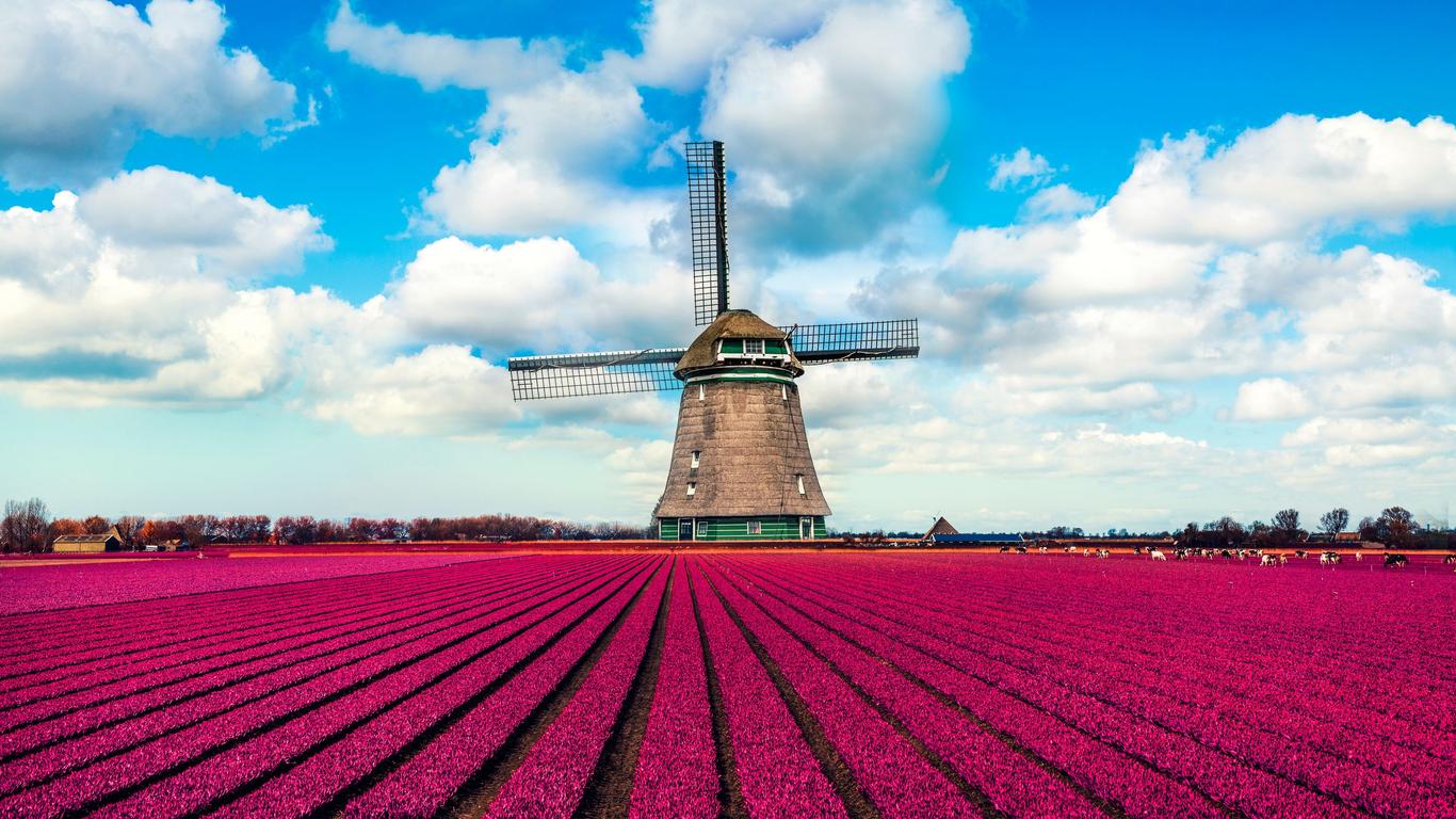 Flights to Holanda