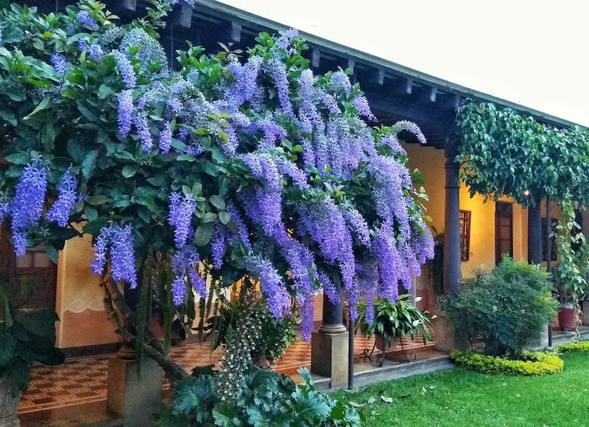 Exterior Foto