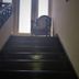 Escadas