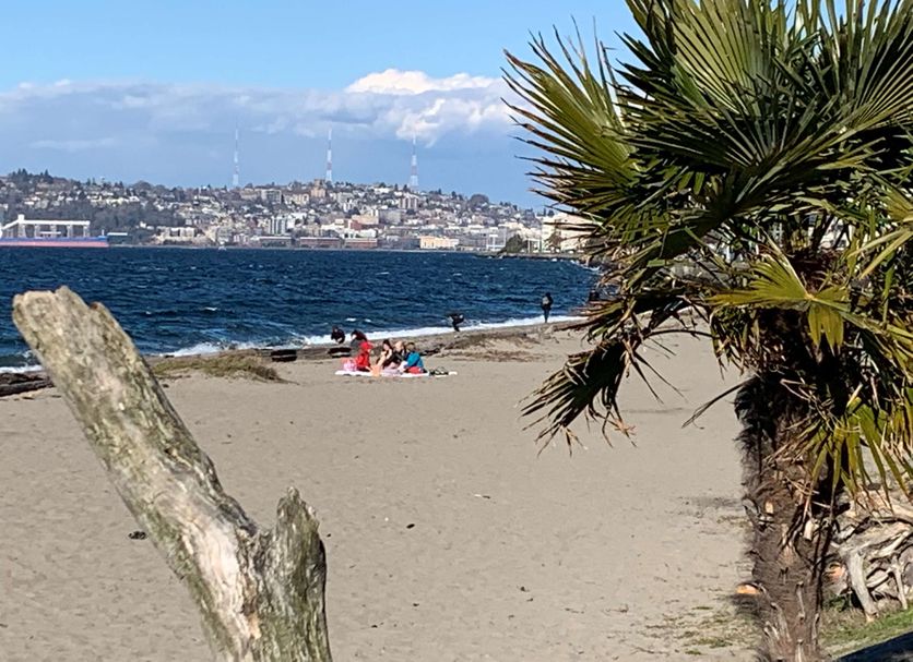 Praia Foto