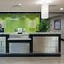 Receção