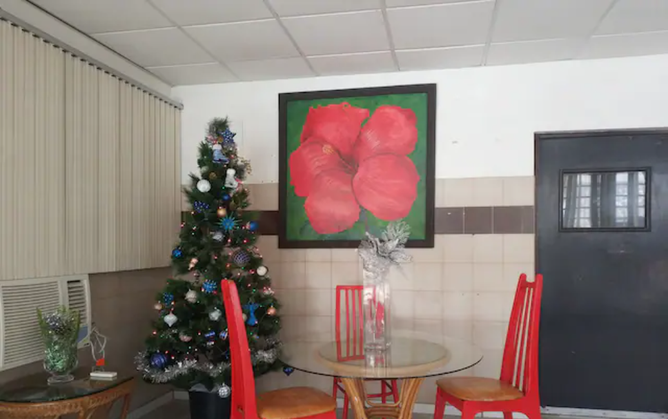 Outra Foto