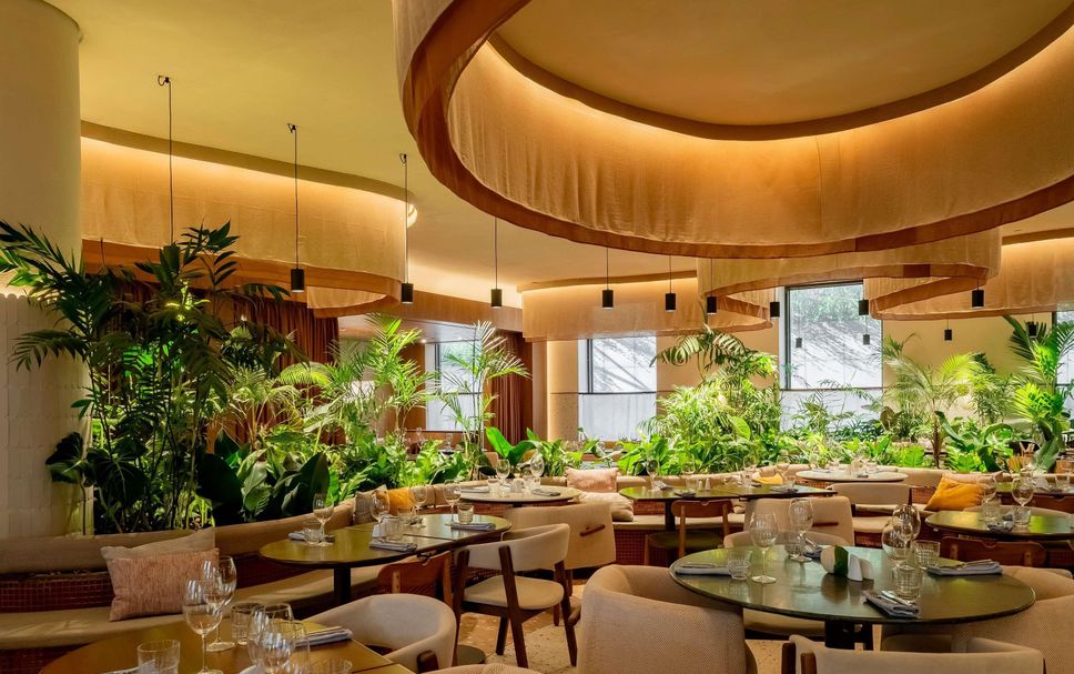 Restaurante Foto