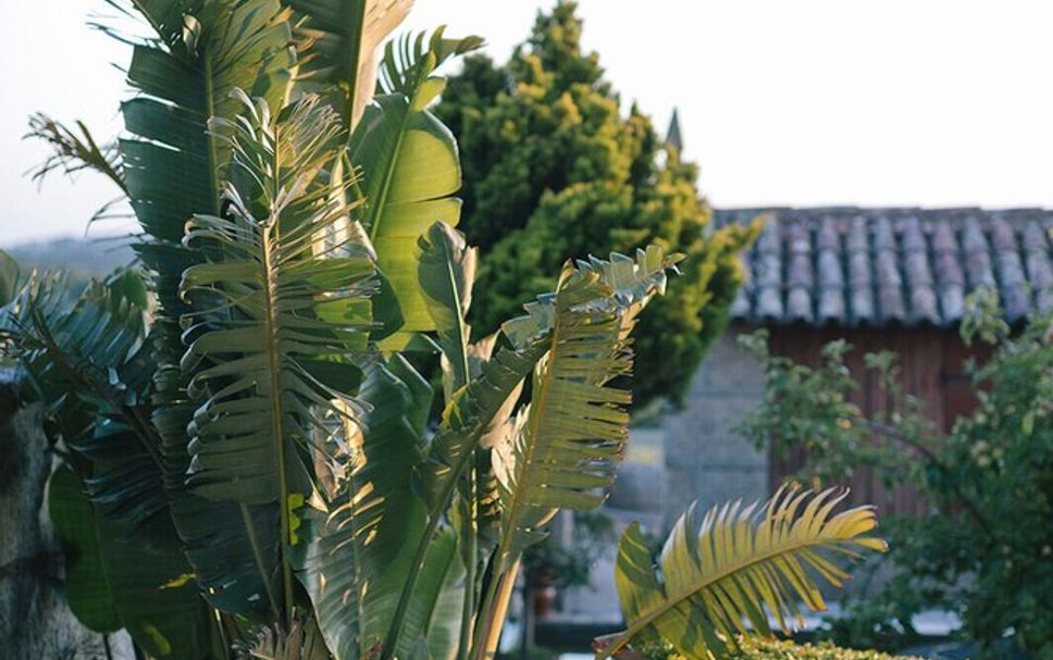 Edifício Foto