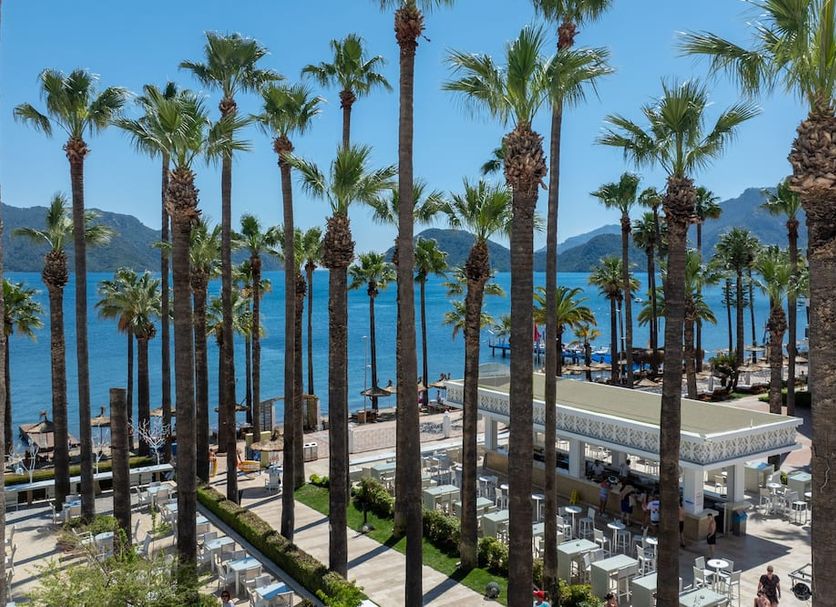 Outra Foto