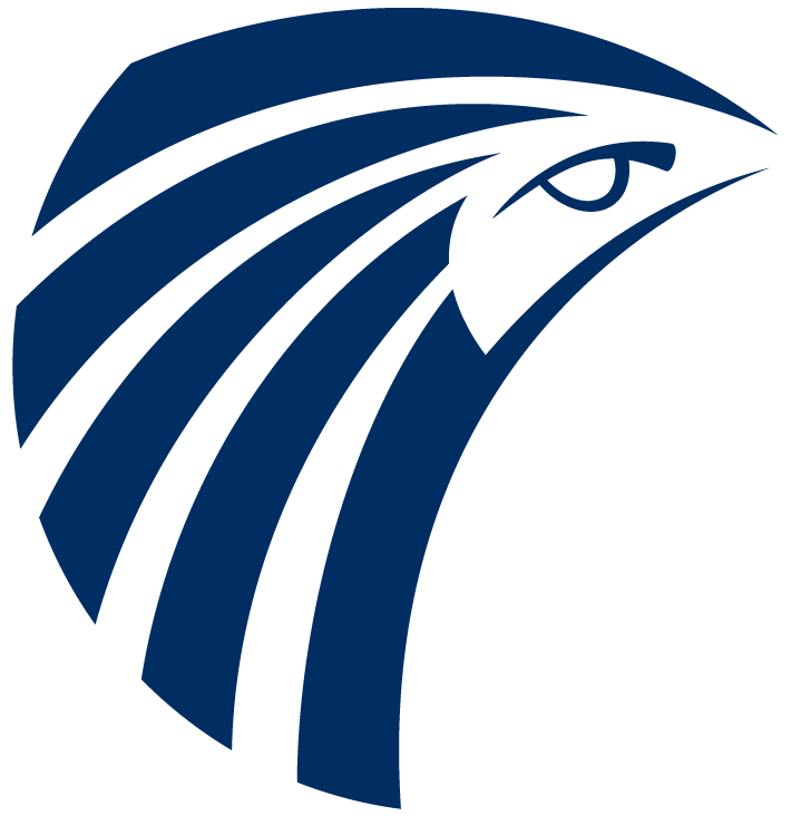 Egypt Air